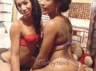 2TShorny11inch