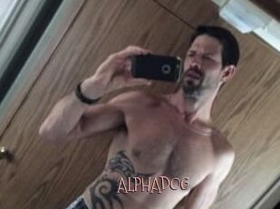 ALPHADOG