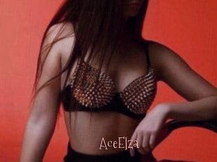 Ace_Elza