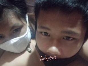 Aek0202