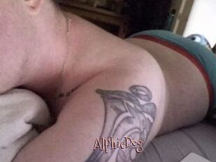 Alphie_Dog