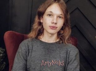 AmyNoiles