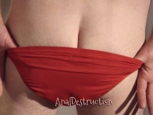 Anal_Destruction