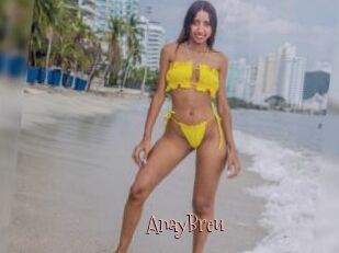 AnayBreu