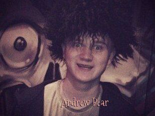 Andrew_Bear