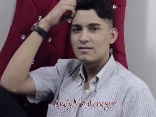 AndyMontenegro