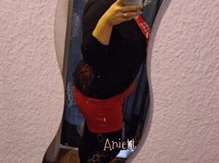 Aniett