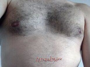 Arnaud95300