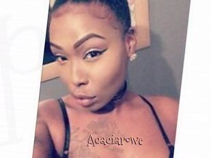 Acacia_rowe
