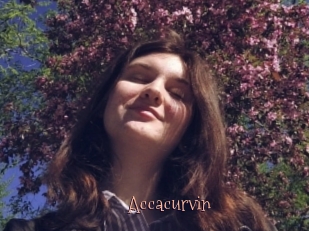 Accacurvin