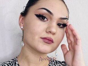 Accagise