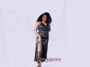 Agnesawuor