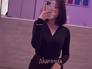 Akan1misa
