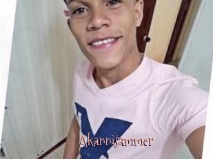 Akannisammer
