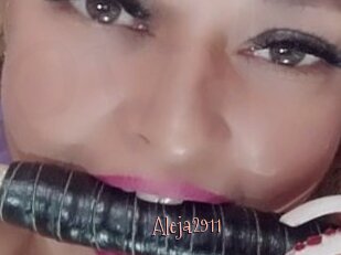 Aleja2911