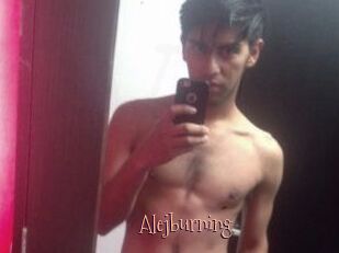 Alejburning