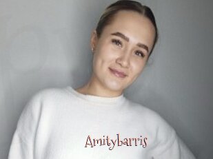 Amitybarris