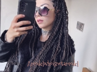 Amodelwhoisnotamodel