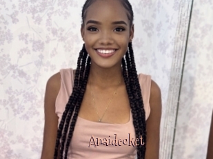 Anaidecket
