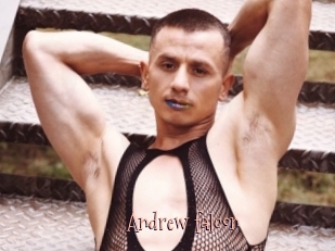 Andrew_falcon