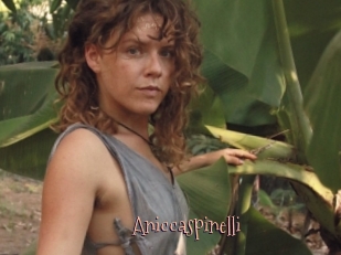 Aniccaspinelli