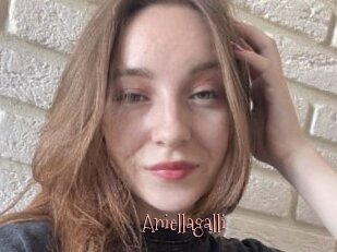 Aniellagalli