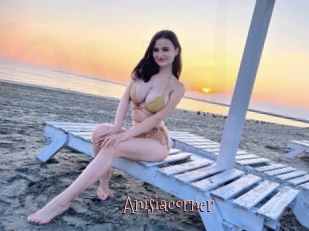 Anisiacorner