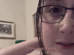 Antoniaborromini
