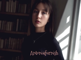 Antoniafurnish