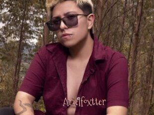 Arielfoxtter