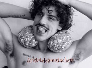 Aristotelesmustache18
