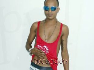 BIGCOCKBOYY
