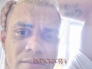 BIGDICKFORU4