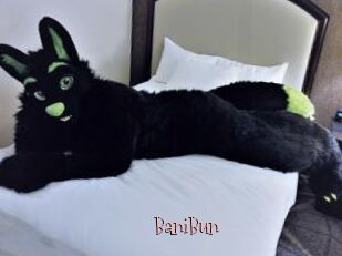 BaniBun
