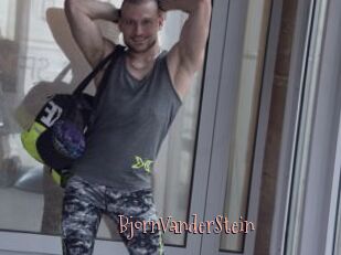 BjornVanderStein