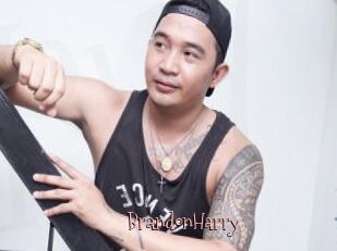 BrandonHarry