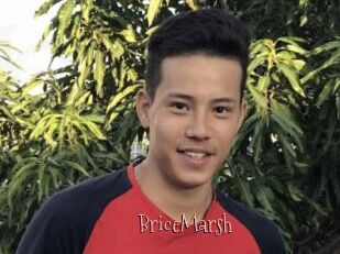 BriceMarsh
