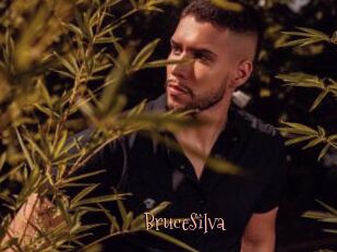 BruceSilva