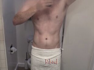 Bibud