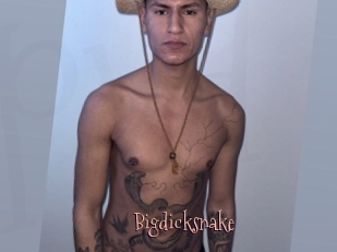 Bigdicksnake