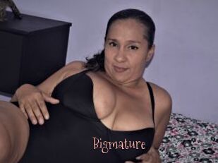 Bigmature