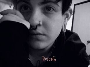 Boicub