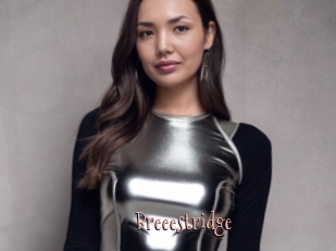 Breeestridge
