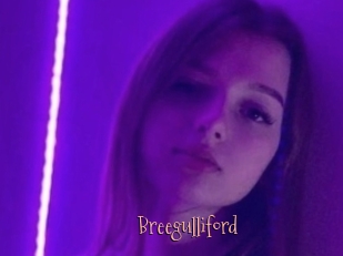 Breegulliford
