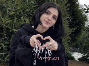Broosnica1