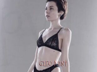CLEO_MINT
