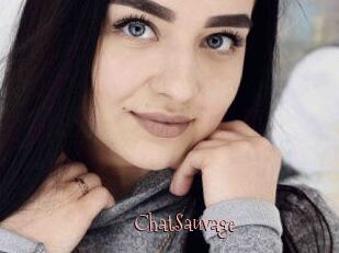 ChatSauvage