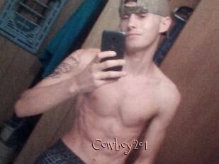 Cowboy201