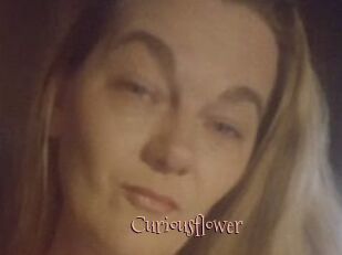 Curiousflower