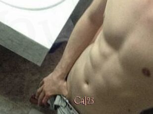 Cal23